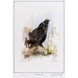 [WILDFOWL]. BEN MAILE (BRITISH, 1922-2017) 'Blackcock', colour print, limited edition of 650, signed