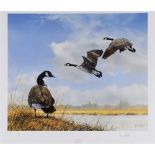 [WILDFOWL]. SPENCER HODGE (BRITISH, B.1943) 'Canada Geese'; and 'Cockatoos', colour prints,