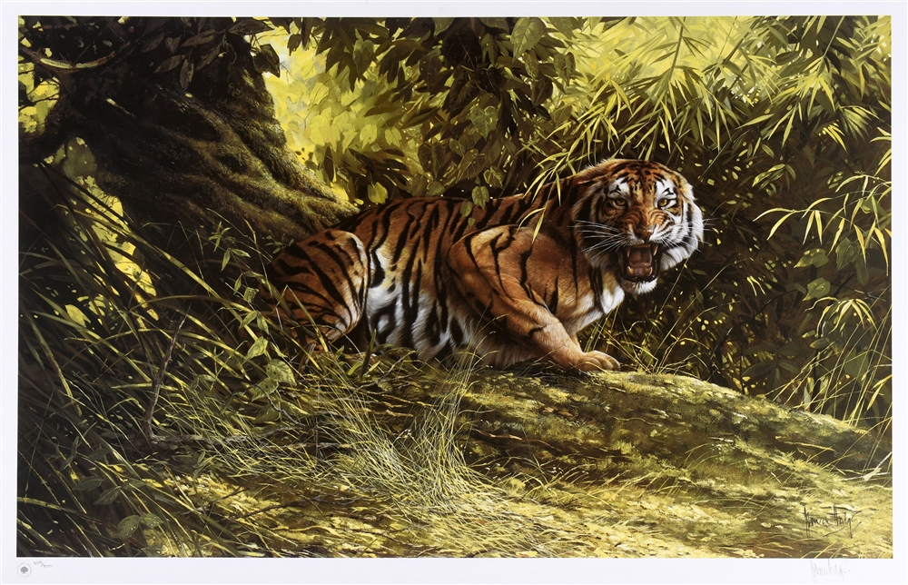 [WILDLIFE]. SPENCER HODGE (BRITISH, B.1943) 'Eye of the tiger', colour print, limited edition 839/