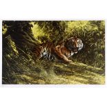 [WILDLIFE]. SPENCER HODGE (BRITISH, B.1943) 'Eye of the tiger', colour print, limited edition 839/