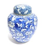 A LARGE CHINESE GINGER JAR AND COVER decorated with prunus blossom on a cracked ice ground,