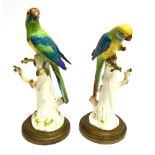 A PAIR OF CONTINENTAL MEISSEN STYLE FIGURES of parakeets perched on tree stumps, the taller 35cm