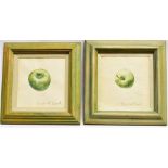 ROSALIND IZARD (CONTEMPORARY) Pair of studies of apples Watercolour signed in pencil lower right