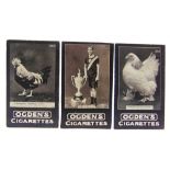 CIGARETTE CARDS - OGDENS TABS TYPE ISSUES, GENERAL INTEREST, C SERIES, 1902 some duplication,