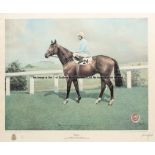 Susan Crawford signed print of Troy with Willie Carson up, limited edition, numbered 112/850, framed