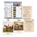 Group of Newmarket racecards including Two Thousand and One Thousand Guineas days, comprising 25 for