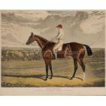 After John Frederick Herring Sr., (British, 1795-1865), SPANIEL, 1831 EPSOM Derby WINNER colour