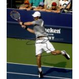 Eight signed photographs of men's tennis legends, a mix of 8 by 10in. and 8 by 12in. examples