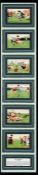 Framed display of a set of six humorous football postcards by Tom Browne, Edwardian