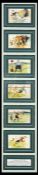 Framed display of a set of six humorous football postcards by Tom Browne, Edwardian