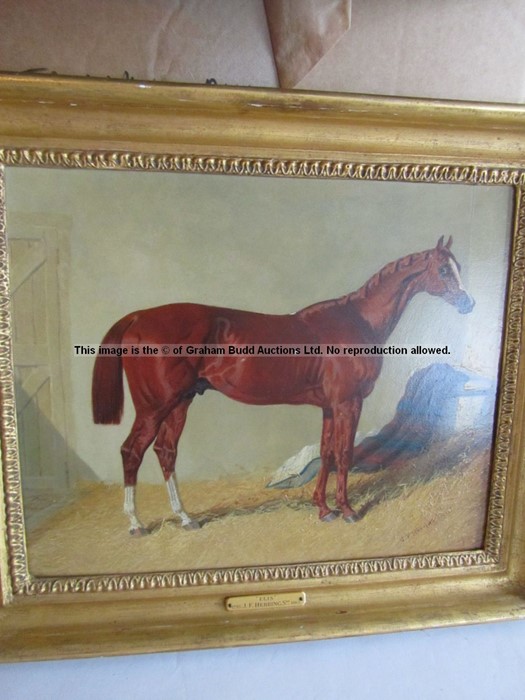 John Frederick Herring, Snr. (British, 1795-1865) THE EARL OF LICHFIELD'S LIGHT CHESTNUT COLT ELIS - Image 6 of 19