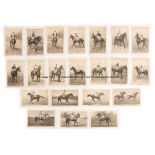 Vintage b&w postcards of racehorses circa 1926, issued by the British Charities Association, with
