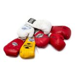 Seven signed boxing gloves, including a red Everlast right-hand glove signed in marker pen by Baby