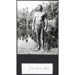Johnny Weissmuller autographed photographic display,  comprising an ink signature mounted with a 8 x