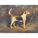 Cuthbert Bradley British 1861-1943, Pair Rosamond and Dimity (Foxhounds).