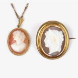 9 ct yellow gold shell cameo necklace together with a shell cameo brooch.