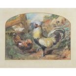 Hunt, William 1790-1864 British, The Master of his Realm, a very handsome Cockerel and Chickens.