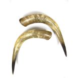 A pair of early Victorian finely engraved prize winning steer horns, dated 1846.