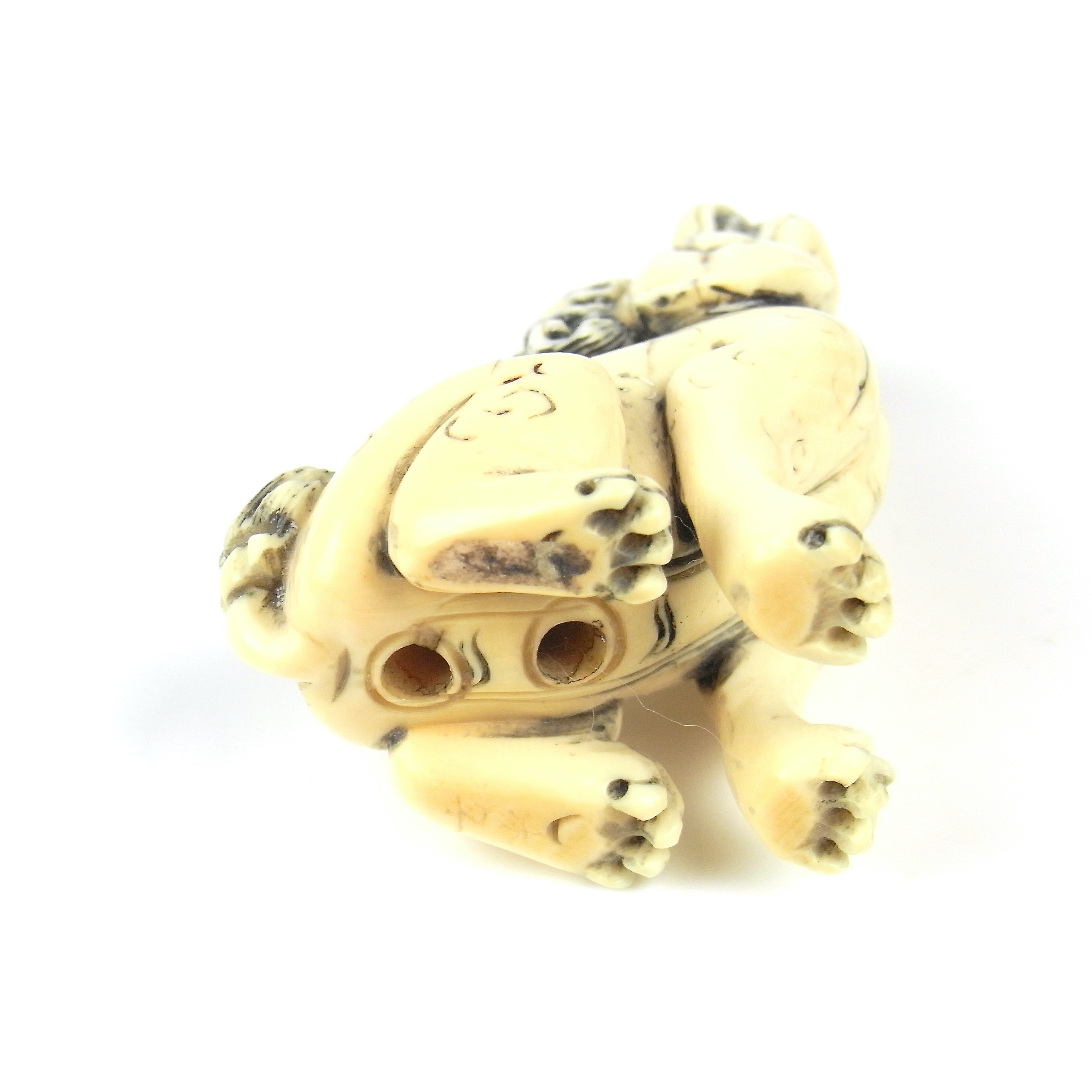 A Japanese carved ivory netsuke of a shishi, Meiji period (1868 - 1912). - Image 4 of 4