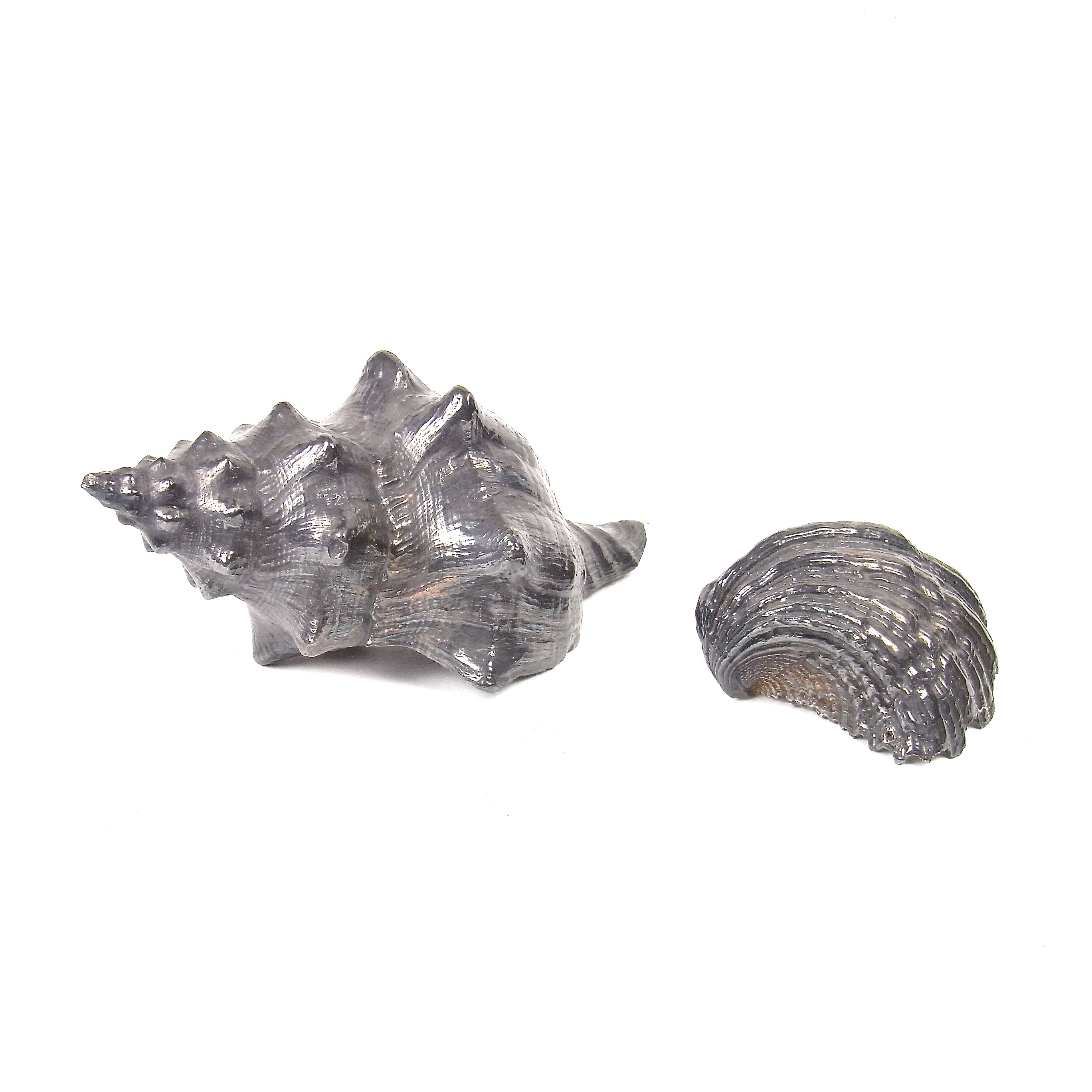 Two large shells dipped in silver, 20th century - Image 2 of 3