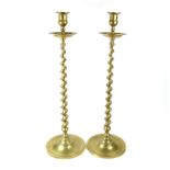 A large pair of brass candlesticks.