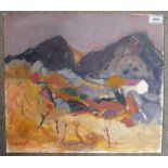 SHEILA MACNAB MACMILLAN P.A.I. Fourteen various landscapes, oil on board and paper, smallest 32 x