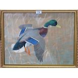 RALSTON GUDGEON RSW Mallard Drake, signed, watercolour, 37 x 50cm Condition Report: Available upon