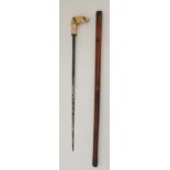 A SWORD STICK WITH A CARVED IVORY DOGS HEAD FINIAL SET WITH GEMS