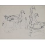 JOSEPH CRAWHALL RSW (BRITISH 1861-1913) STUDIES OF SWANS Conte crayon, 20 x 26.5cm (7 7/8 x 10 1/2")
