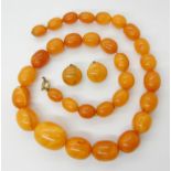 A STRING OF AMBER COLOUR BEADS WITH MATCHING EARRINGS largest bead approx 20.3mm x 15mm, smallest