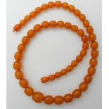 A STRING OF AMBER COLOURED BEADS largest bead approx 13.5mm x 14.9mm, smallest approx 8.6mm,