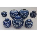 SEVEN CHINESE BLUE AND WHITE GINGER JARS each painted with blossoming branches, below dentil rims,