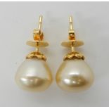 A PAIR OF 14K GOLD LARGE CREAM PEARL EARRINGS dimensions of the pearls approx 11.2mm x 10mm,