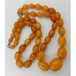 TWO STRINGS OF AMBER BEADS originally one long string, the largest bead is approx 3cm x 2.3cm and