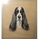 JEAN WOODWARD Spaniel head, signed, pastel, 42 x 35cm Condition Report: Available upon request