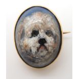 A yellow metal mounted Essex crystal brooch of a dog, dimensions 2cm x 1.5cm, weight 4.5gms