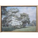 A MACDONALD Parkland, signed, watercolour, dated, 1916, 40 x 54cm and JACK PAGAN New Mexico,