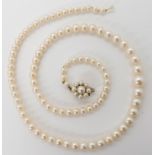 A string of cultured pearls with nice lustre and a 9ct pearl flower shaped clasp, stringing (af)