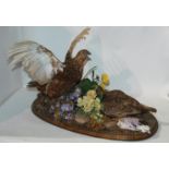 A stuff and mounted taxidermy display of grouse on oval base, 60cm wide Condition Report: