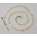 A string of good quality pale pink pearls witha 9ct clasp, largest pearl 6.9gms, smallest 3.6gms,