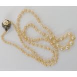 A STRING OF CHILD'S PEARLS purported to be Scottish river pearls, with a 9ct gold faux pearl and gem