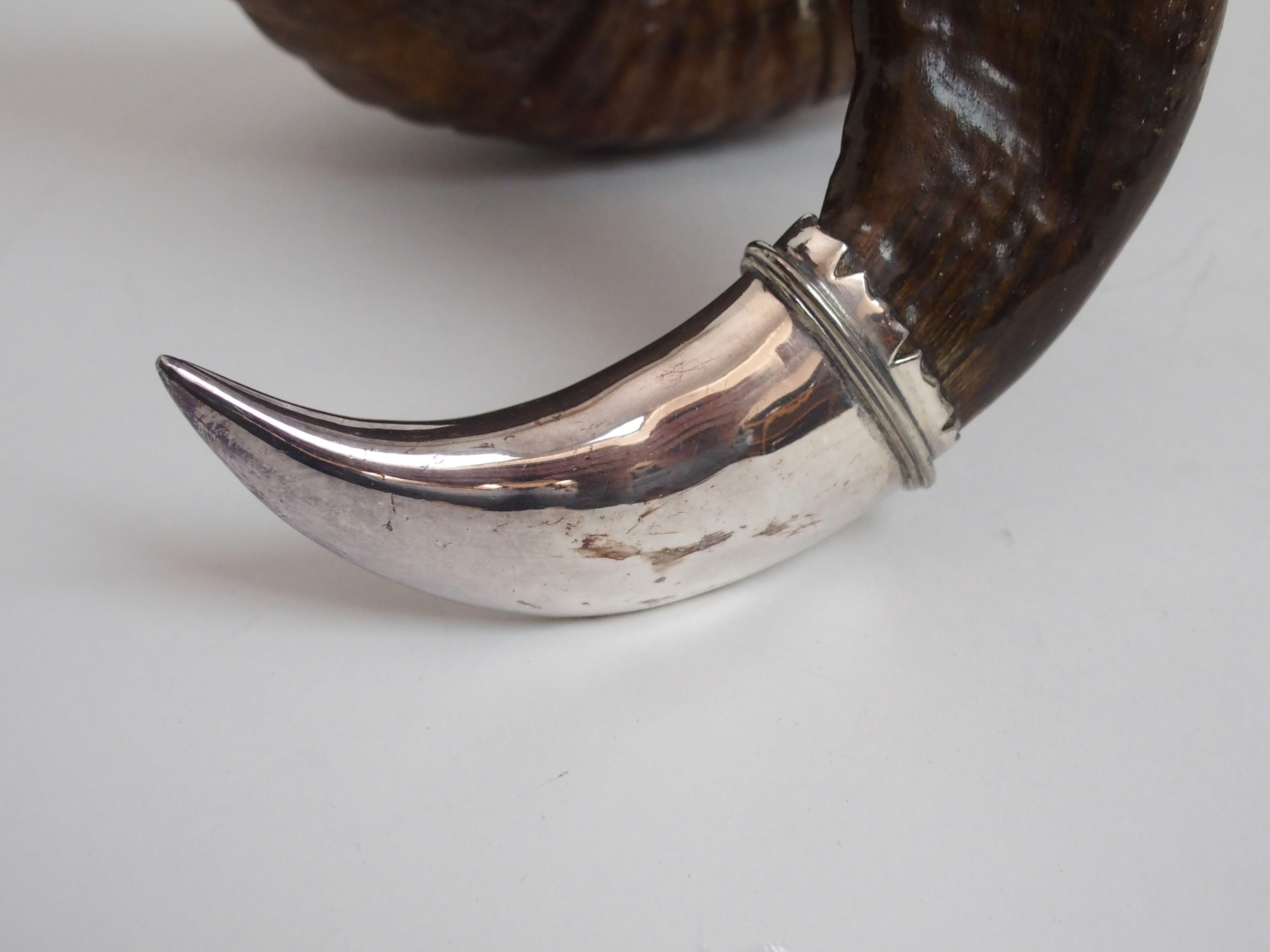 A RAM'S HORN AND SILVER PLATE MOUNTED CENTREPIECE SNUFF MULL by Walker and Hall, The hinged cover - Image 6 of 10