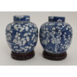 TWO CHINESE BLUE AND WHITE GINGER JARS AND COVERS each painted with blossoming branches on a clouded