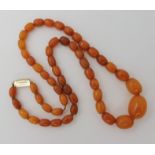 A STRING OF AMBER COLOURED BEADS largest bead 16.5mm x 12mm, smallest 7.2mm x 5.4mm, length of