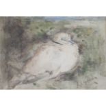 GEORGE JACKSON HUTCHISON (SCOTTISH 1896-1918) COLLARED DOVE Watercolour, signed, 18 x 25cm (7 x