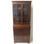 A 19TH CENTURY MAHOGANY DISPLAY CABINET with a pair of astragal doors above a drawer and a pair of