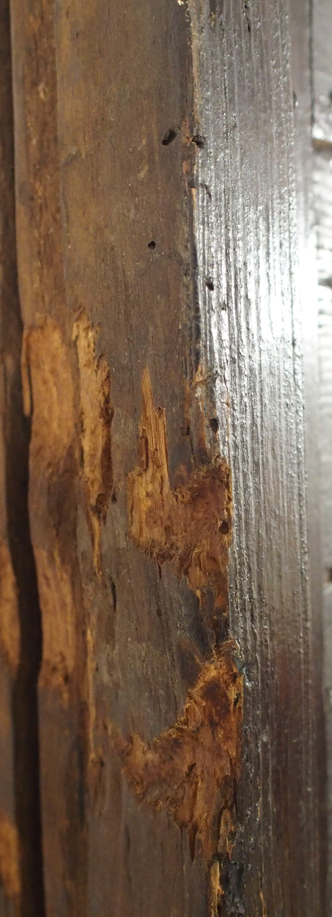 A VICTORIAN STAINED OAK CORNER DISPLAY CABINET carved allover with scrolling foliage, with a pair of - Image 15 of 15