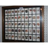 A framed set of 50 Players cigarette cards, framed signed print and another (3) Condition Report: