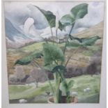 JUNE SHANKS Arum lilies and Glen Luss, signed, watercolour, 60 x 54cm and another (2) Provenance -