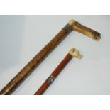 A bamboo walking cane, the handle modelled as a dog's head and an animal handle walking cane (2)